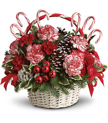 Candy Cane Christmas from McIntire Florist in Fulton, Missouri